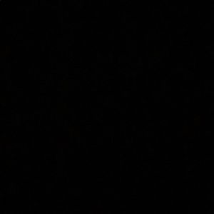 Meet your Posher, Lizzie